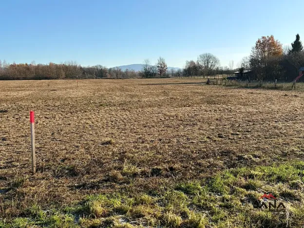 Prodej pozemku pro bydlení, Čtveřín, 880 m2