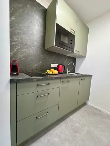 Prodej bytu 1+kk, Janov nad Nisou, 31 m2