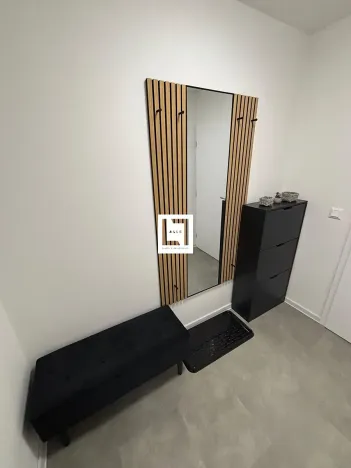 Pronájem bytu 1+kk, Olomouc, Aloise Rašína, 31 m2