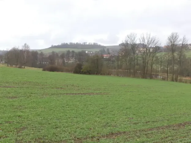 Dražba pole, Mladý Smolivec, 15075 m2