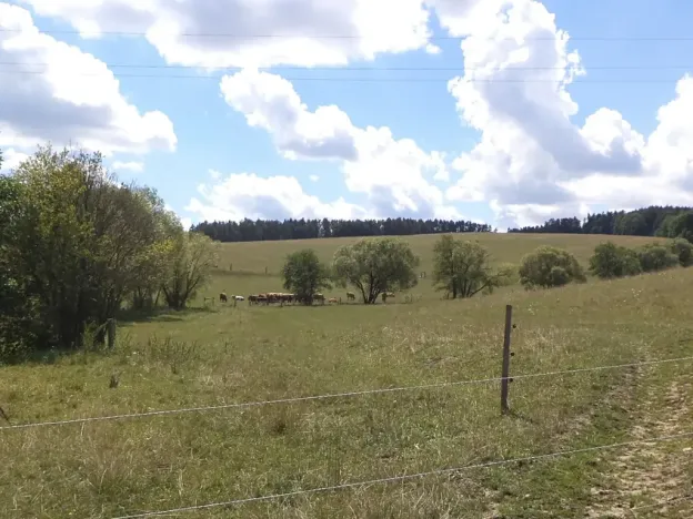 Dražba louky, Slavičín, 16521 m2