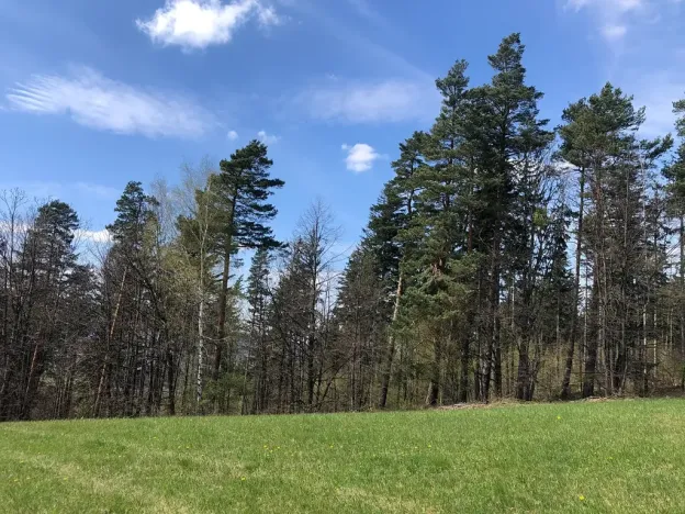 Prodej zemědělské usedlosti, Frýdlant nad Ostravicí, 260 m2