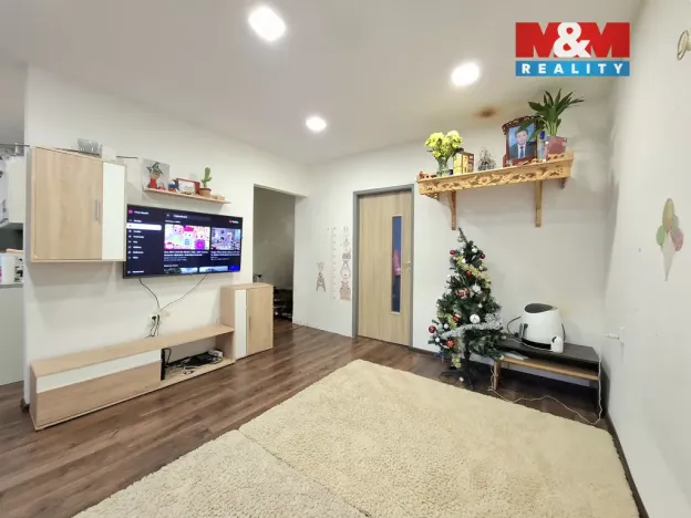 Prodej bytu 2+1, Habartov, Raisova, 55 m2