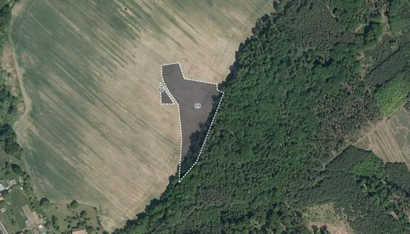 Prodej pole, Morašice, 8621 m2