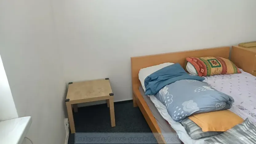 Pronájem pokoje, Praha - Liboc, Krajní, 15 m2