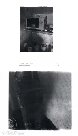 Dražba chaty, Hradec Králové, K Chatám, 97 m2