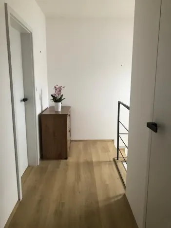 Pronájem rodinného domu, Sokolnice, Slanisko, 150 m2