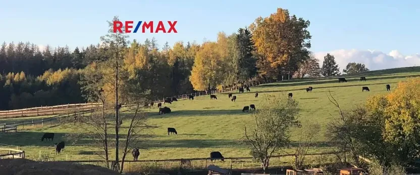 Prodej pozemku, Vyskytná nad Jihlavou, 172102 m2