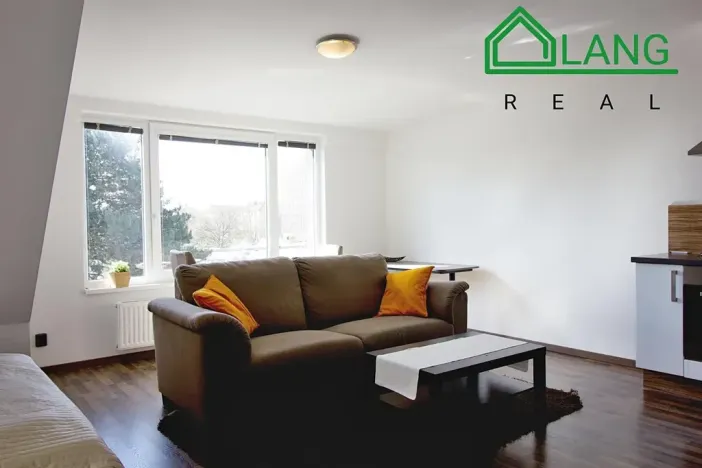 Pronájem bytu 1+kk, Brno, Dobrovského, 40 m2