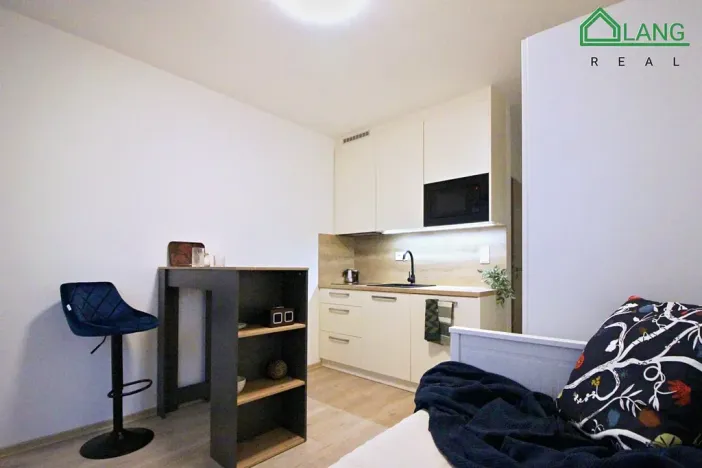 Pronájem bytu 1+kk, Brno, Francouzská, 23 m2