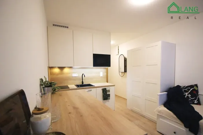 Pronájem bytu 1+kk, Brno, Francouzská, 23 m2