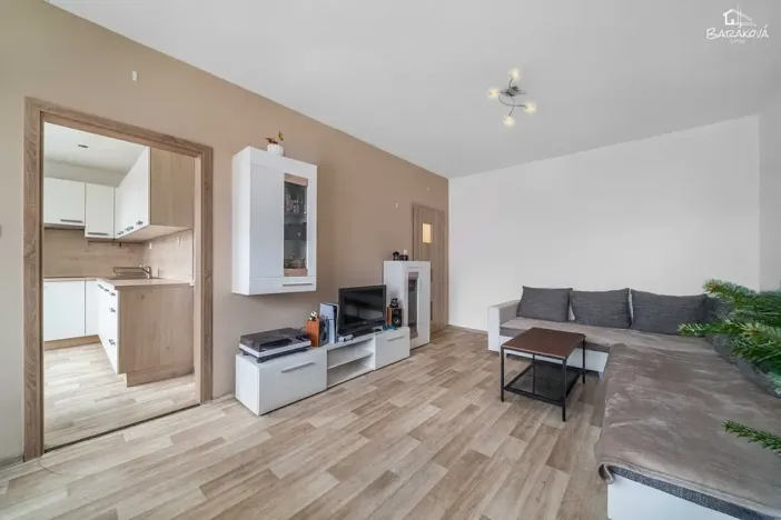 Prodej bytu 2+1, Plzeň, Tichá, 60 m2