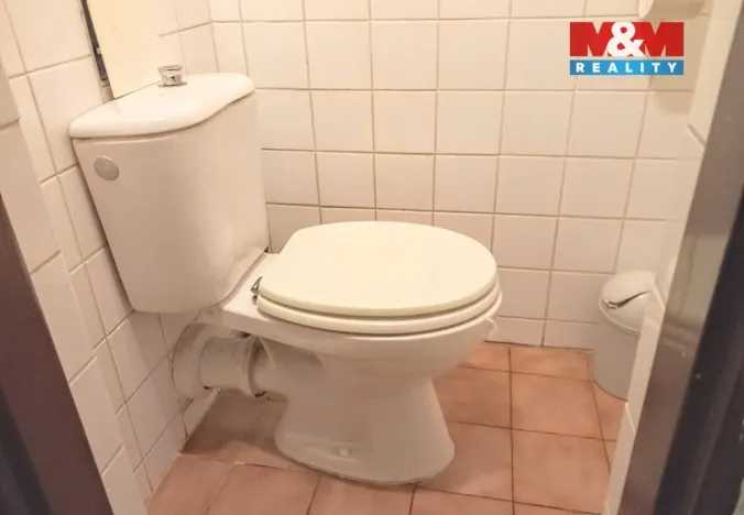 Pronájem obchodního prostoru, Ostrov, Krušnohorská, 20 m2