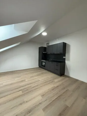 Pronájem bytu 1+kk, České Budějovice, Rudolfovská tř., 30 m2