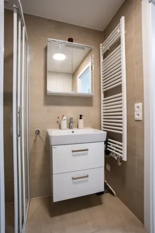 Pronájem bytu 1+kk, Praha - Vysočany, Kolbenova, 30 m2