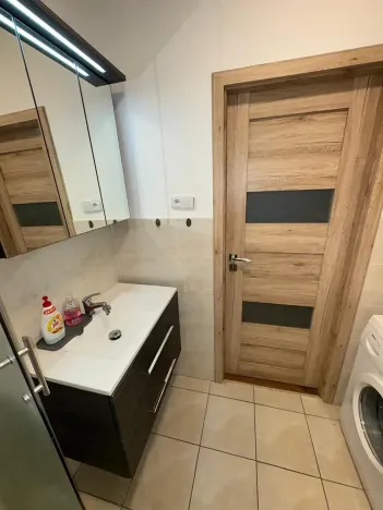 Pronájem bytu 1+kk, Brno, Dřevařská, 30 m2