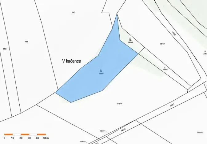 Prodej lesa, Pavlice, 3317 m2