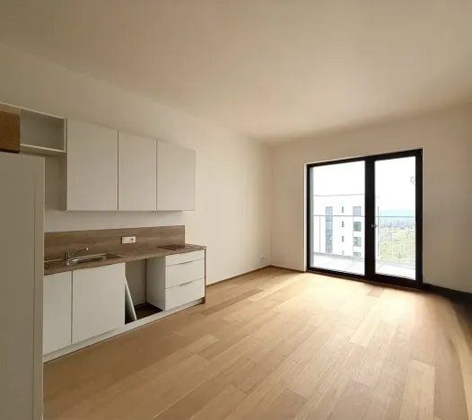 Pronájem bytu 1+kk, Praha - Hrdlořezy, V třešňovce, 40 m2