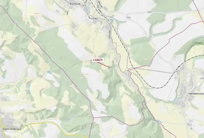 Dražba lesa, Letohrad, 282 m2