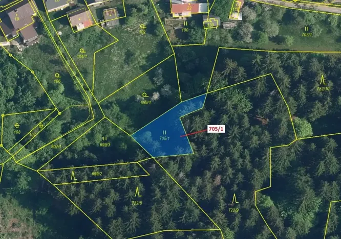 Dražba louky, Zlatá Olešnice, 438 m2