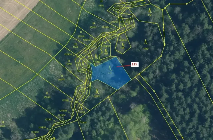 Dražba lesa, Trhové Sviny, 590 m2