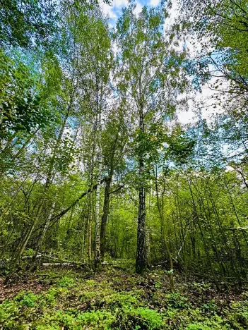 Prodej komerčního pozemku, Luštěnice, 9368 m2