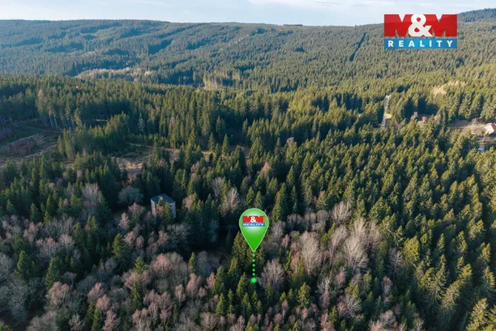 Prodej rodinného domu, Jáchymov - Nové Město, 195 m2