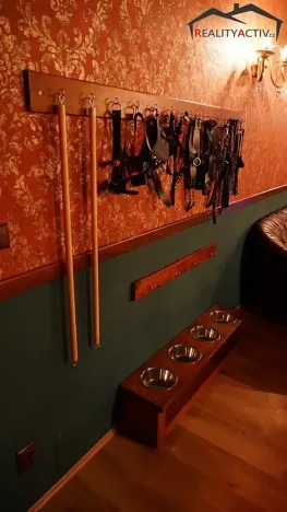 Pronájem rodinného domu, Rozdrojovice, 850 m2