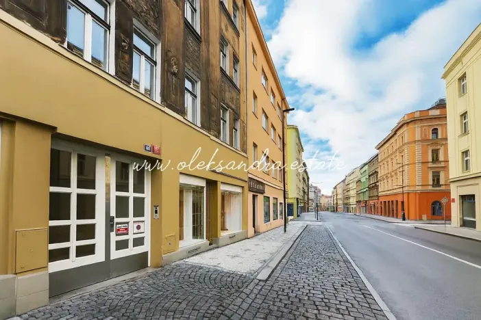 Prodej bytu 1+1, Praha - Žižkov, Husitská, 39 m2