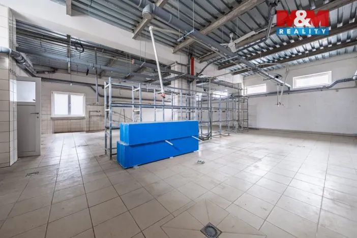 Prodej obchodního prostoru, Příbram - Příbram VI-Březové Hory, K Podlesí, 326 m2