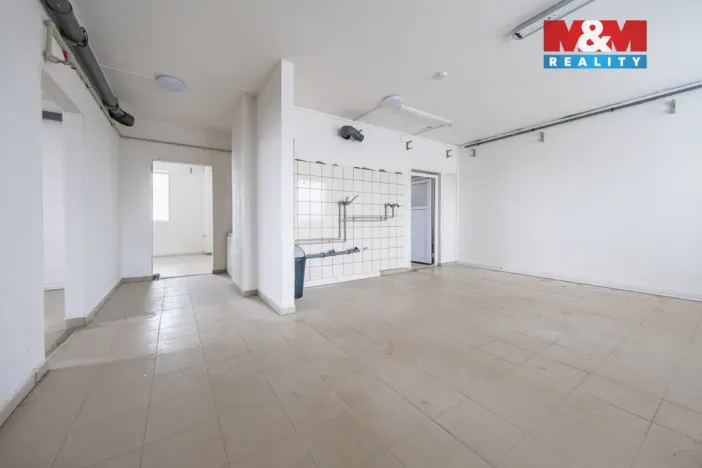 Prodej obchodního prostoru, Příbram - Příbram VI-Březové Hory, K Podlesí, 326 m2