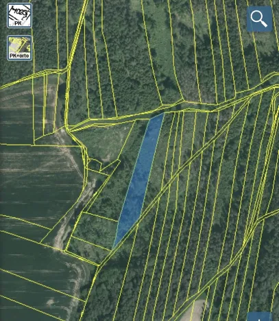 Prodej lesa, Blížejov - Lštění, 4481 m2