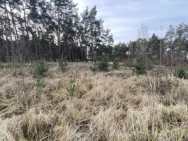 Prodej lesa, Kostelní Lhota, 9438 m2