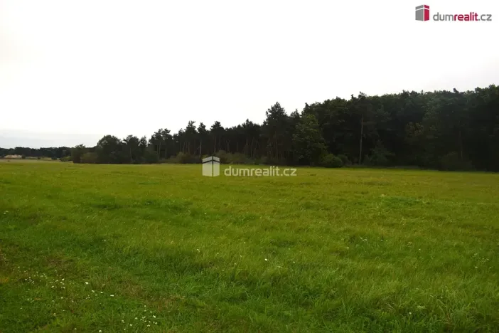 Prodej pole, Benátky nad Jizerou, Pražská, 6490 m2