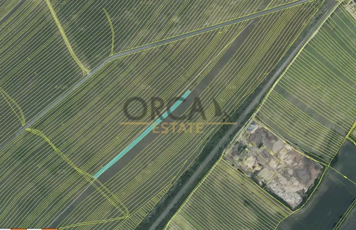 Prodej pole, Moravská Nová Ves, 3258 m2