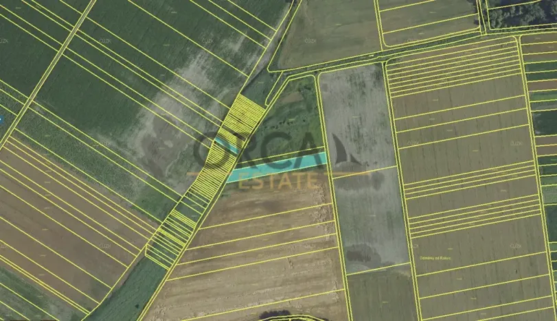 Prodej pole, Podivín, 2403 m2