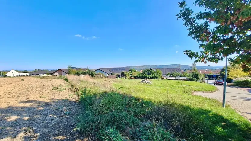 Prodej pozemku pro bydlení, Hrušovany u Brna, Pod Střediskem, 875 m2