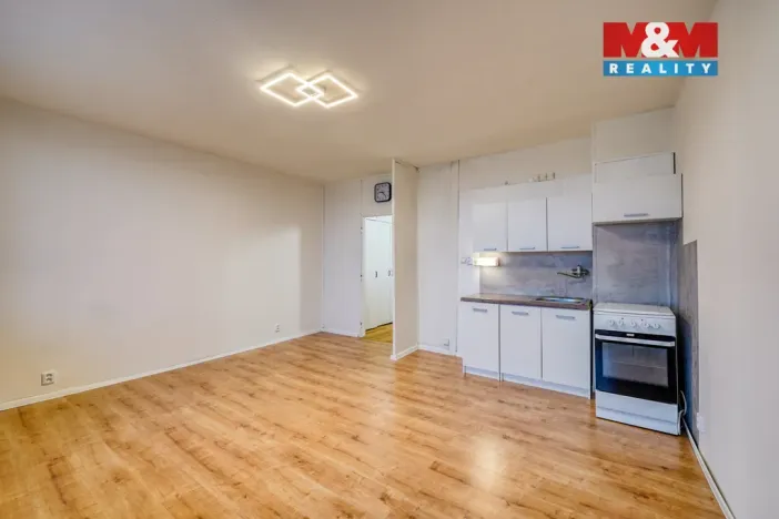 Pronájem bytu 1+kk, Plzeň - Bolevec, Tachovská, 27 m2