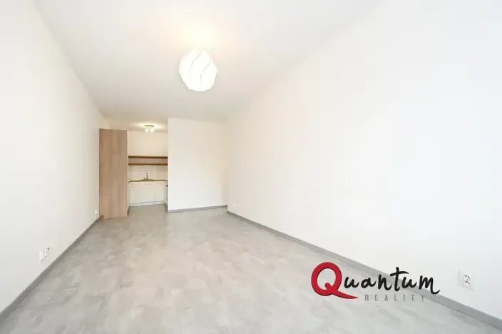 Pronájem bytu 2+kk, Praha, Remízková, 53 m2