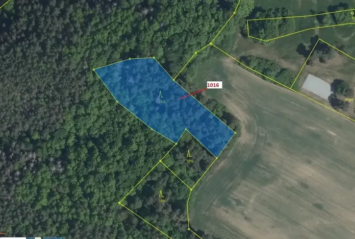 Dražba lesa, Náměšť nad Oslavou, 2458 m2