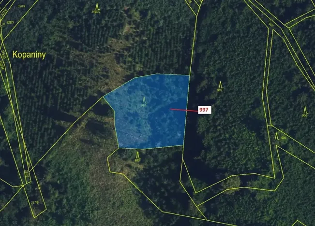 Dražba lesa, Lhota Rapotina, 1938 m2