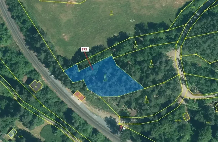 Dražba lesa, Plasy, 1287 m2