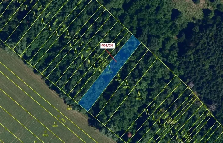 Dražba lesa, Ivančice, 741 m2