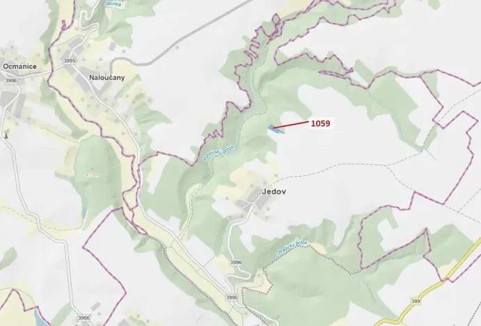 Dražba lesa, Náměšť nad Oslavou, 3646 m2