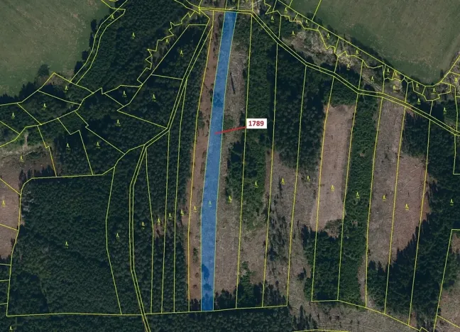 Dražba lesa, Žirovnice, 5036 m2