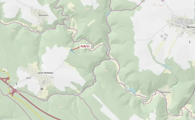 Dražba lesa, Lesní Hluboké, 3838 m2