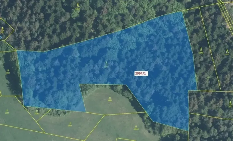 Dražba lesa, Lačnov, 15135 m2