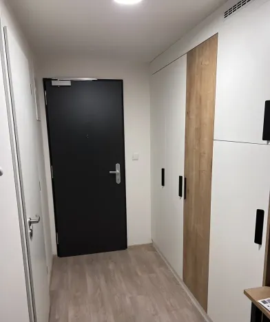 Pronájem bytu 1+kk, Praha - Smíchov, Plzeňská, 41 m2