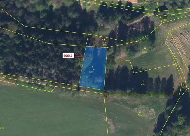 Dražba lesa, Ohnišov, 978 m2