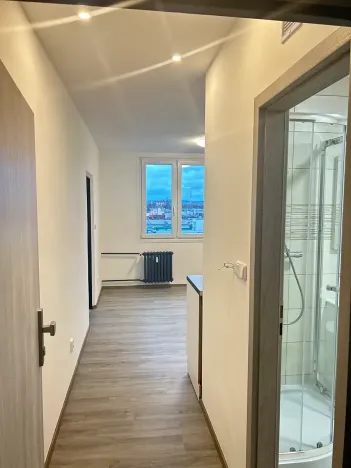 Pronájem bytu 1+1, Plzeň, Komenského, 36 m2